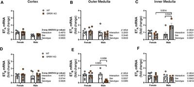 G protein-coupled estrogen receptor 1 regulates renal endothelin-1 signaling system in a sex-specific manner